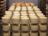 Le fromage doit être plus durable : voici les innovations pour le garder savoureux