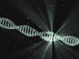 Des médicaments correspondant à l'ADN