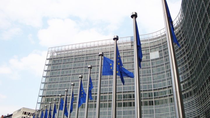 La commission parlementaire de l’UE approuve la loi sur les puces