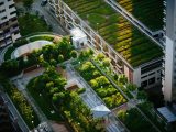 Pourquoi les toits verts sont une solution d’avenir pour les villes ?