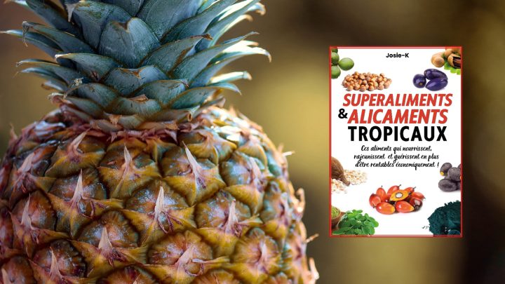 Superaliments tropicaux : une solution santé, mais comment s’en procurer en France ?