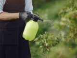 Chimie verte 2026 : matériaux durables et innovations concrètes
