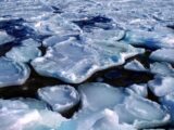 Close-up view of melting ice floes floating in the Arctic sea creating a serene abstract pattern.