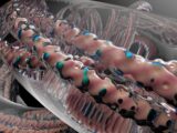 Mitochondries : énergie, autophagie et biologie cellulaire