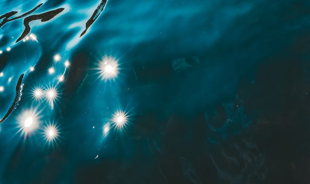 Vision nocturne des requins profonds : secrets des abysses