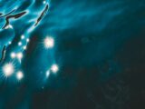 Vision nocturne des requins profonds : secrets des abysses