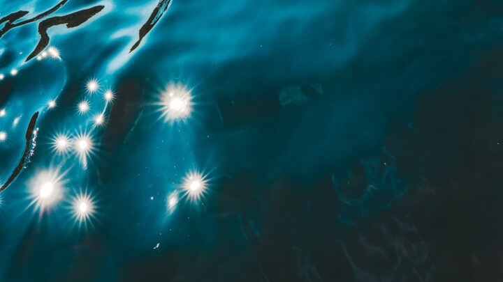Vision nocturne des requins profonds : secrets des abysses