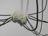 Optogénétique : contrôler les neurones avec la lumière